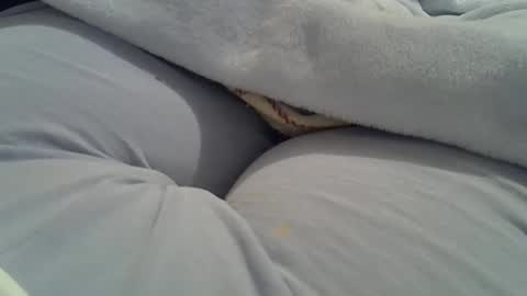 flash 50 tokens BIG CLIT  tits pussy. masturbation big clit 150 tokens fingers inside pussy 1000 tk  pump big clit 300 tk online show from October 16, 4:09 pm