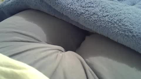 flash 50 tokens BIG CLIT  tits pussy. masturbation big clit 150 tokens fingers inside pussy 1000 tk  pump big clit 300 tk online show from October 3, 2:16 am