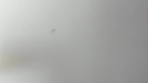 Candie  online show from February 17, 12:37 pm