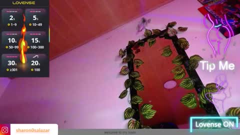 Sharon online show from January 17, 2:41 am