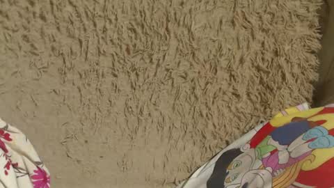 say meow and send tip  online show from February 14, 8:05 pm