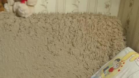 say meow and send tip  online show from February 16, 4:32 pm