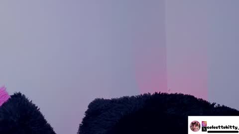 celestte_evans_1 online show from February 22, 2:34 am