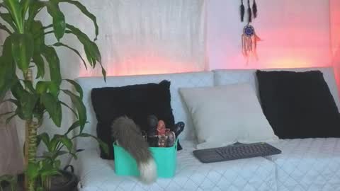 Charlotte online show from October 13, 11:35 am