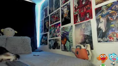 Charlotte online show from January 30, 2:15 pm