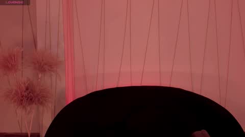 Christine Ford online show from November 24, 2:30 pm