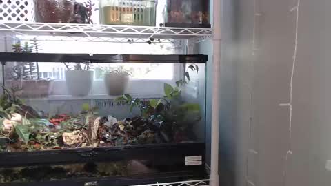 Snapshot of constantcumquest chatting on September 22, 7:12 pm ANR Mommy online show from September 22, 7:12 pm