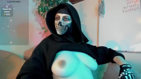 cos_operator online show from October 28, 8:03 pm