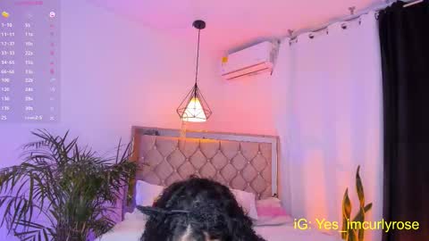 Snapshot of curlyrose_ chatting on October 12, 12:46 am Rose online show from October 12, 12:46 am