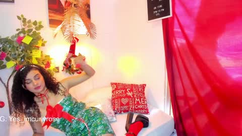 Snapshot of curlyrose_ chatting on December 27, 6:53 pm Rose online show from December 27, 6:53 pm