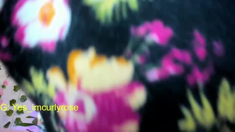 Snapshot of curlyrose_ chatting on January 16, 8:25 pm Rose online show from January 16, 8:25 pm