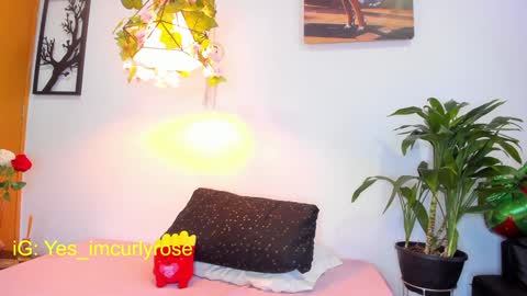 Snapshot of curlyrose_ chatting on January 28, 8:04 pm Rose online show from January 28, 8:04 pm