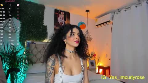 Snapshot of curlyrose_ chatting on September 15, 10:50 pm Rose online show from September 15, 10:50 pm