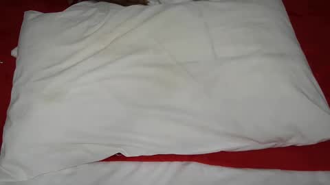 daddyslittleebony online show from March 6, 8:48 pm