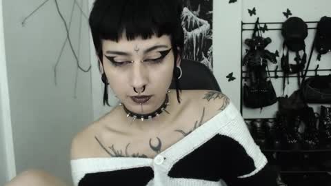 dakota online show from November 19, 4:56 am