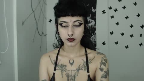 dakota online show from January 30, 4:48 am