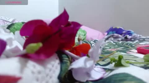 dulce online show from October 29, 1:58 pm