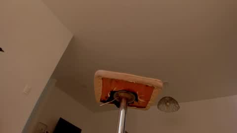 My birthday is tomorrow November 30  online show from November 9, 4:25 pm