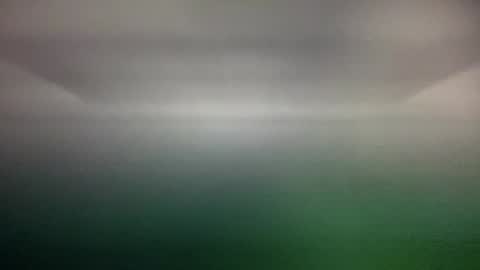 Nadia Ferreira  online show from February 6, 7:40 pm