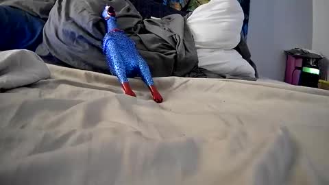 Angel online show from December 17, 7:18 pm