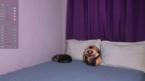 Elis online show from September 13, 8:17 pm