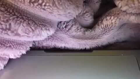 Snapshot of eliterd chatting on September 22, 3:27 am eliterd online show from September 22, 3:27 am