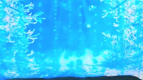 Ember Starleena online show from January 13, 4:00 pm