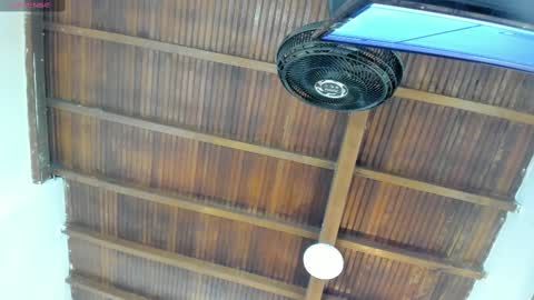 Emily  online show from October 6, 11:05 am