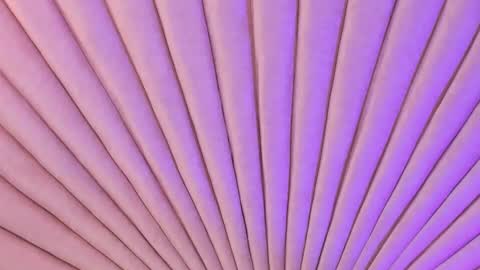           online show from September 29, 11:59 am