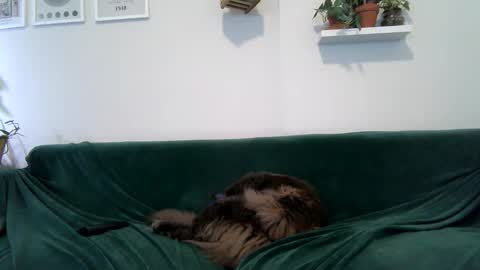 Badblondebunny online show from December 17, 11:31 pm