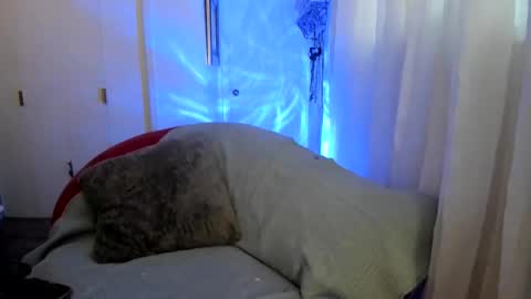 Snapshot of evparrish chatting on October 24, 12:50 am EV Parrish online show from October 24, 12:50 am