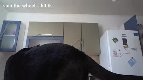 Arisha online show from September 29, 1:49 pm