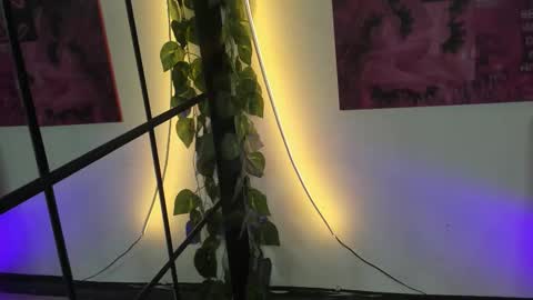 FLORA online show from October 22, 6:13 pm