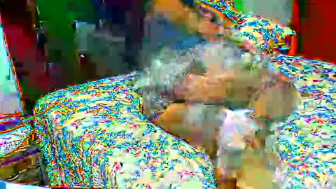 gaby  layla online show from November 16, 12:45 am