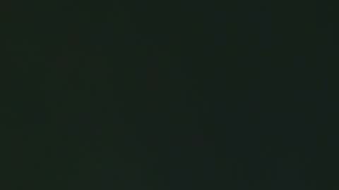 Georgina online show from February 3, 3:06 pm