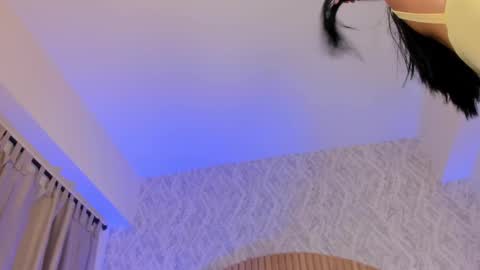 Kendal  online show from February 4, 3:04 pm