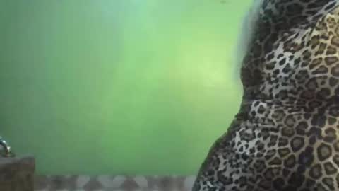 shasha big online show from October 13, 10:51 am