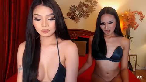 YOUR SIDECHIC HAILEY online show from February 2, 8:57 am