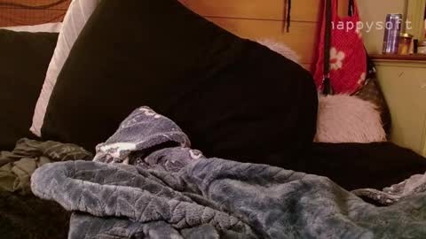 meatwad online show from March 11, 11:33 am