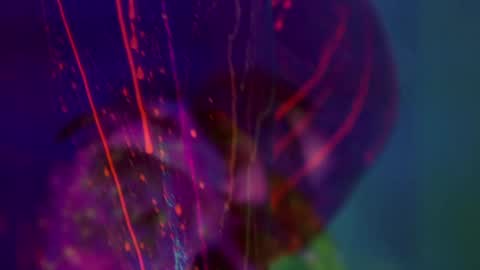 Alina online show from January 14, 6:46 pm