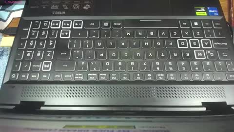 Allison online show from February 12, 4:14 am