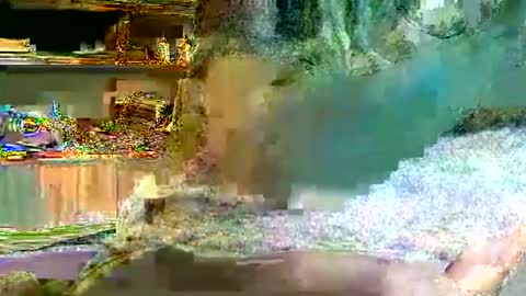 Snapshot of hp58649blabla chatting on September 23, 6:39 pm hp58649blabla online show from September 23, 6:39 pm