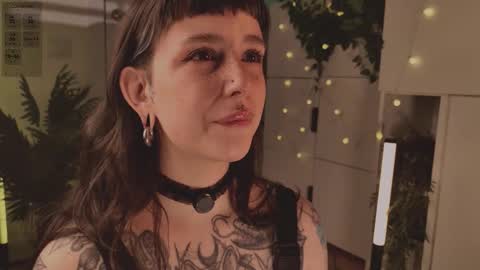 Mika online show from January 16, 7:43 pm