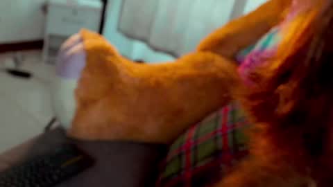 Joanna  Independent model. online show from November 20, 2:40 pm