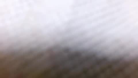 tracy online show from December 28, 8:58 am