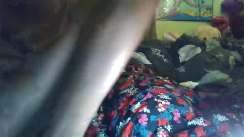 indigo_scorpio online show from January 15, 7:58 am