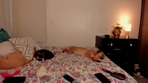 Isa online show from October 31, 10:03 pm