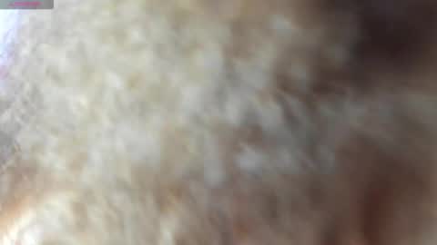 Snapshot of isangel_ chatting on October 21, 2:26 am Isabela online show from October 21, 2:26 am