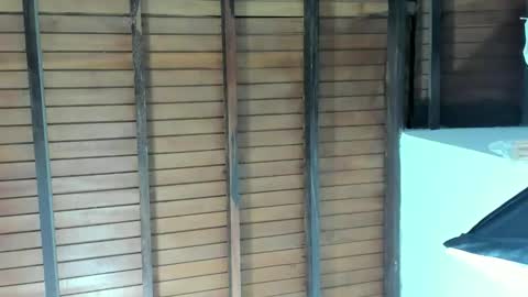 Jade Smith online show from December 7, 1:40 pm