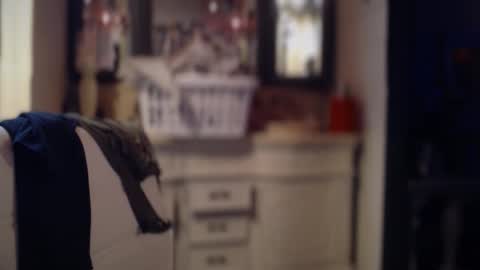 JAV online show from December 20, 12:31 pm